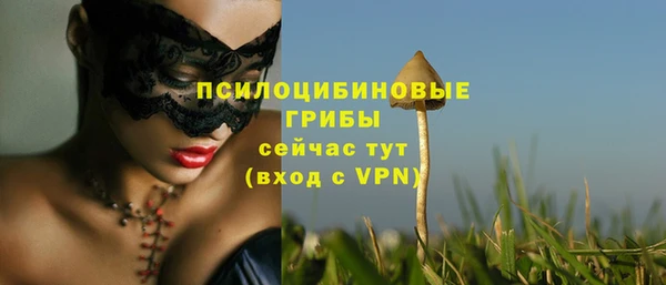 MESCALINE Карпинск