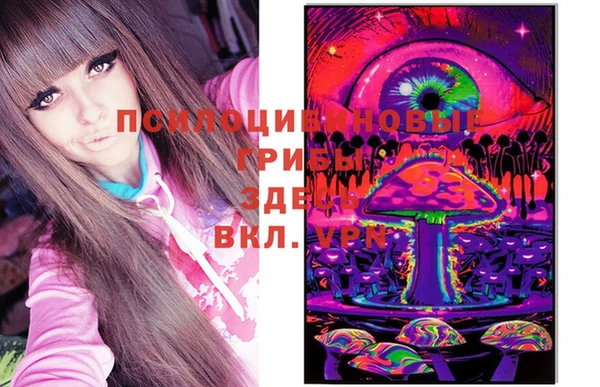 Альфа ПВП Касимов