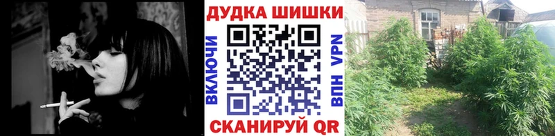 Купить где  Людиново  Конопля Amnesia 